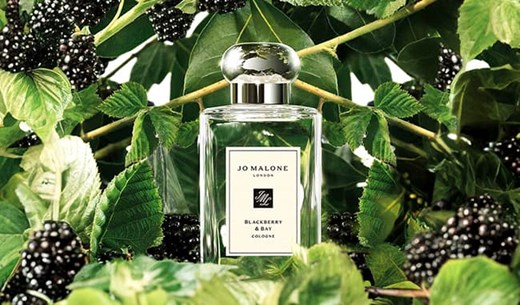 Apply to try the Jo Malone Blackberry & Bay Cologne
